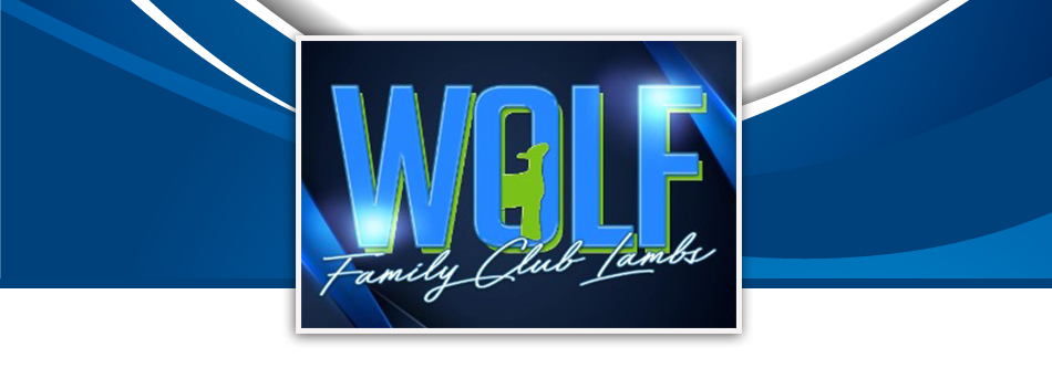 Wolf Family Club Lambs